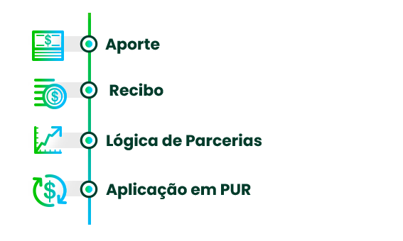 fluxoPPEI_2